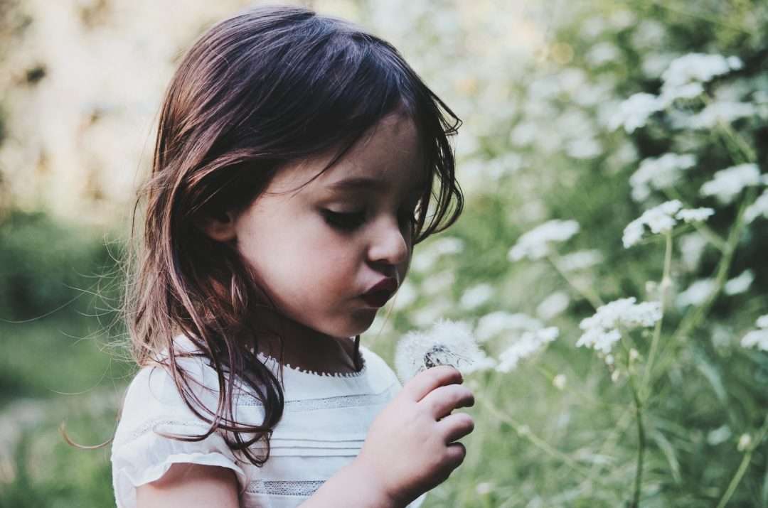 caroline-hernandez-g5NjiLFgYy8-unsplash (2)