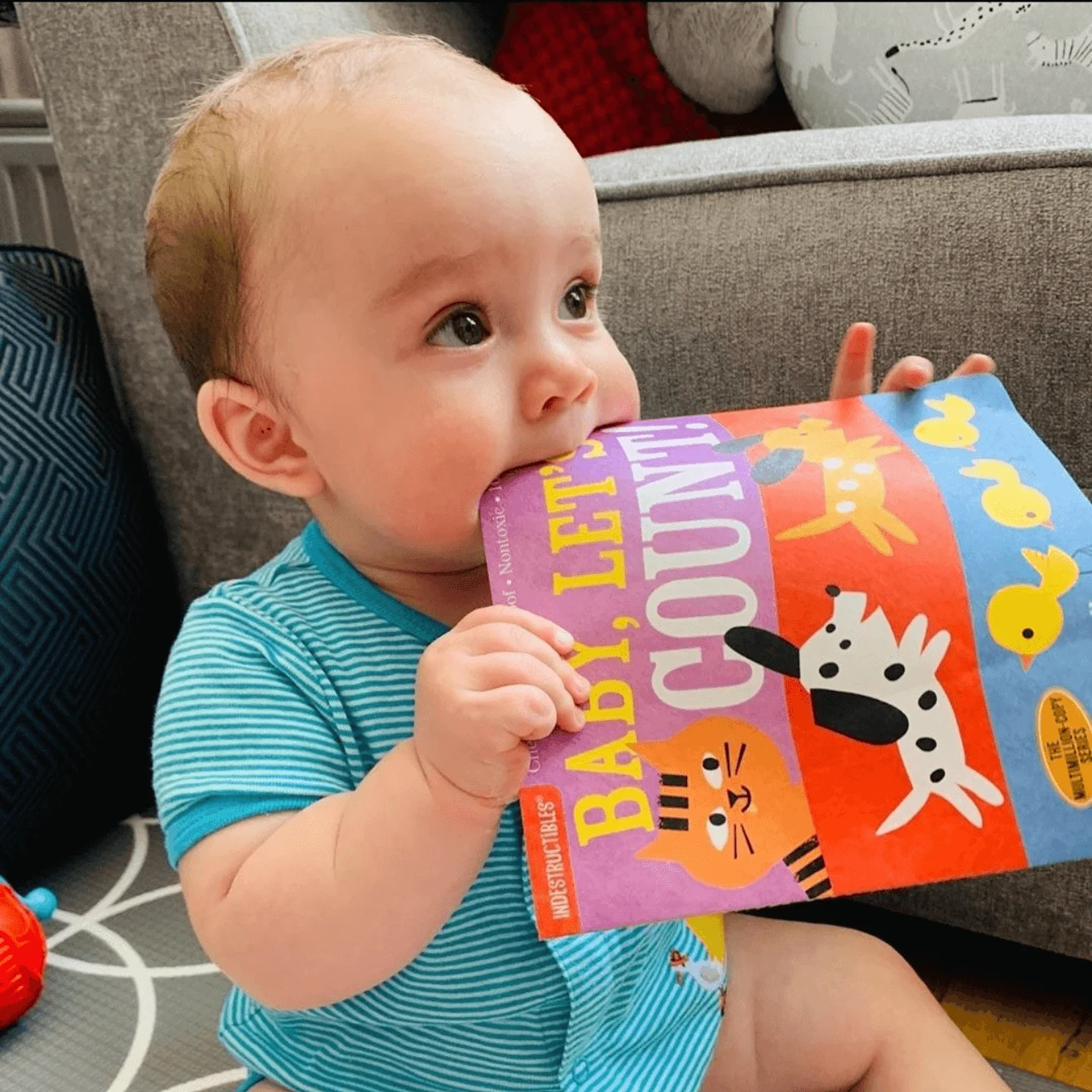 Libro Indestructible Baby, Let's Count - Imagen 2