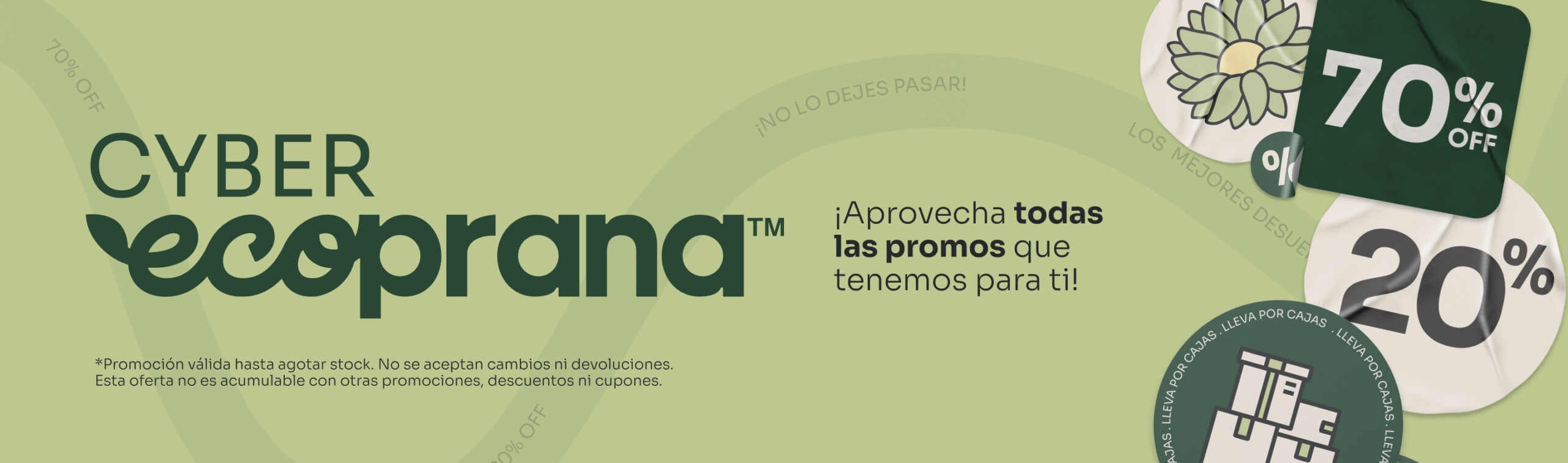 Banner Home Desktop Cyber Ecoprana Enero 1 scaled