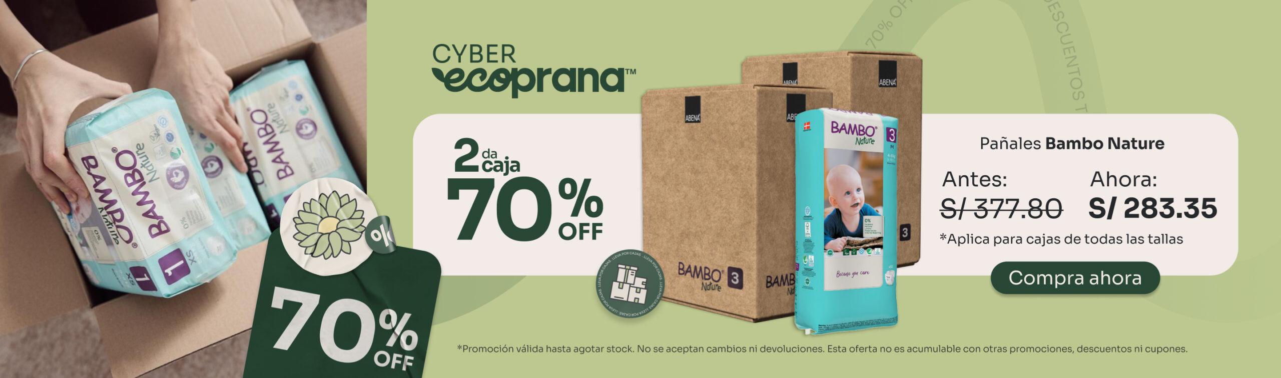 Banner Home Desktop Cyber Ecoprana Enero 2 scaled