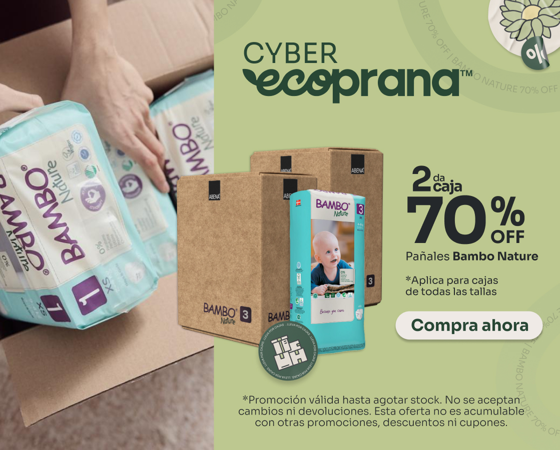 Banner Home Responsive Cyber Ecoprana Enero 1