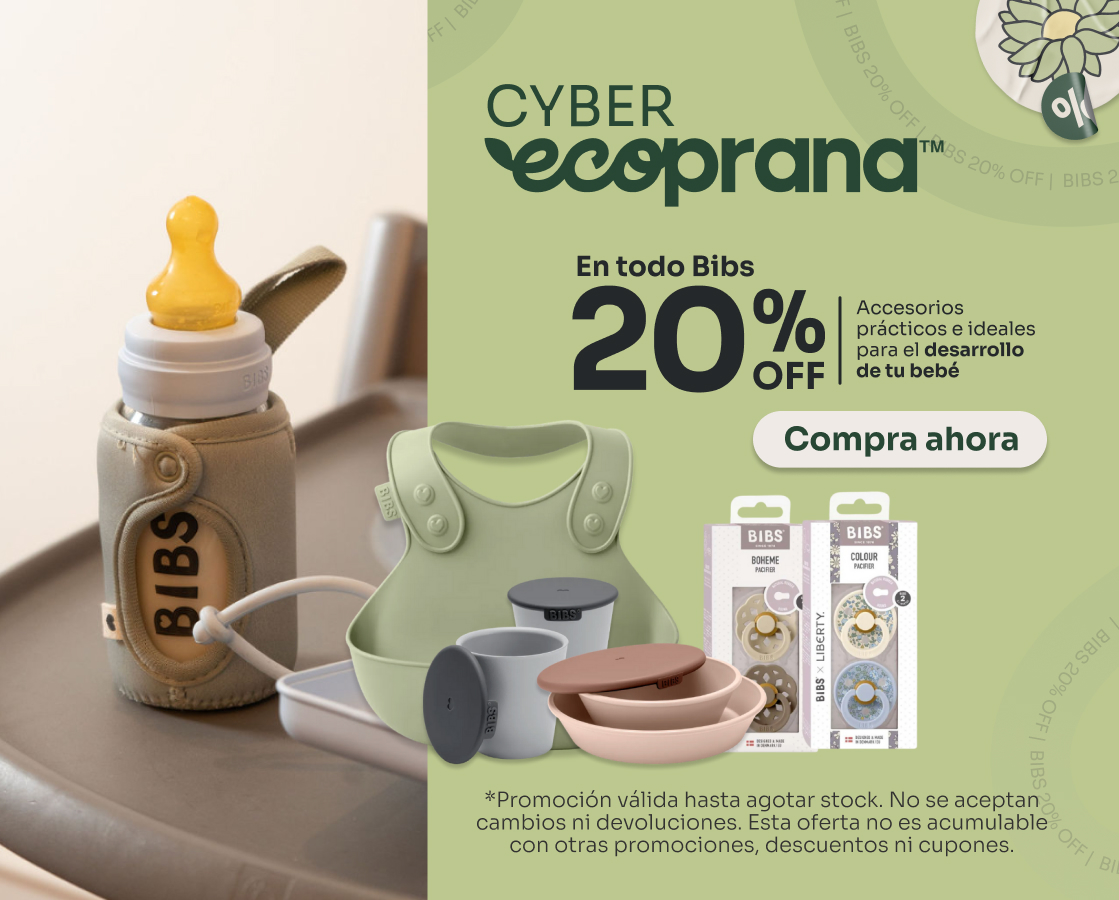 Banner Home Responsive Cyber Ecoprana Enero 3