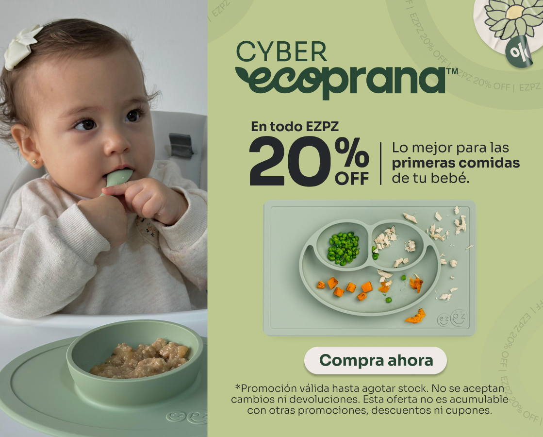 Banner Home Responsive Cyber Ecoprana Enero 4