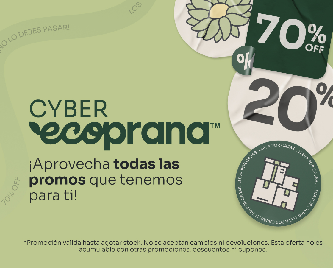 Banner Home Responsive Cyber Ecoprana Enero 5